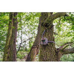 Fotopast UOV Compact LTE